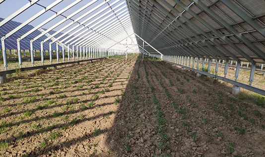 愛(ài)康無(wú)棣光伏項(xiàng)目，其中扶貧指標(biāo)40MW，幫扶扶貧1600戶，每年扶貧金額480萬(wàn)
